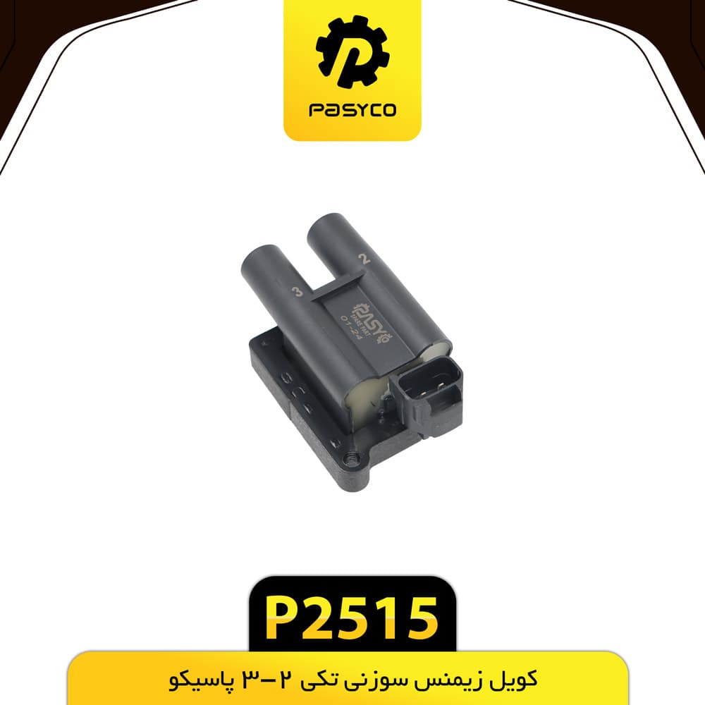 کویل زیمنس سوزنی تکی 2-3 پاسیکو P2515