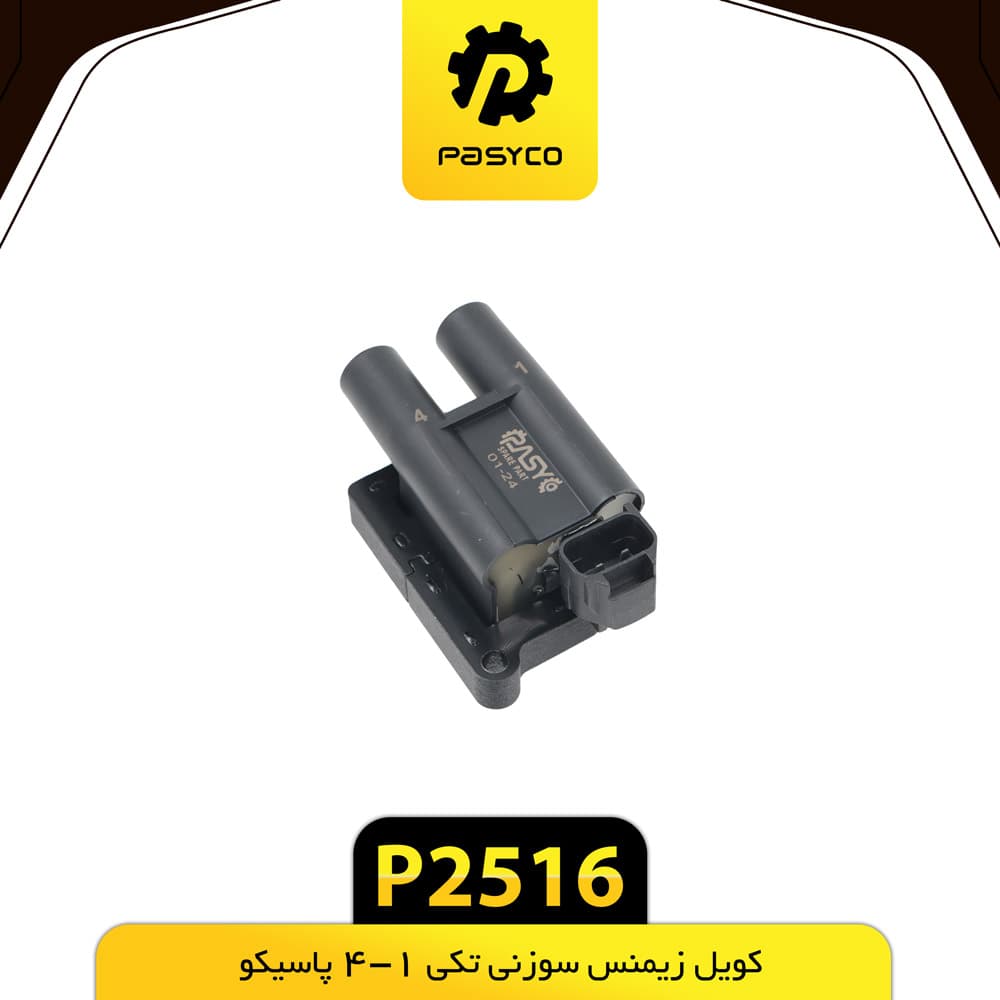 کویل زیمنس سوزنی تکی 1-4 پاسیکو P2516