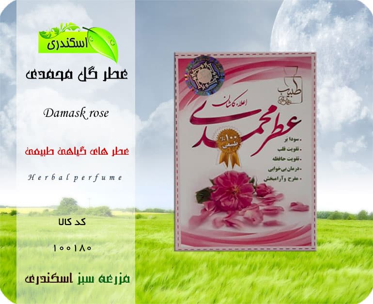 عطر طبیعی گل محمدی — تصویر ۲