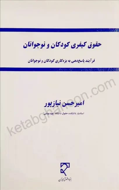حقوق کیفری کودکان و نوجوانان امیر حسن نیازپور