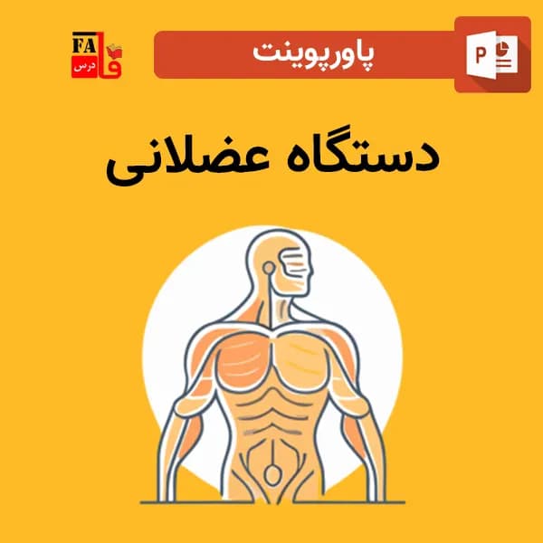 پاورپوینت دستگاه عضلانی