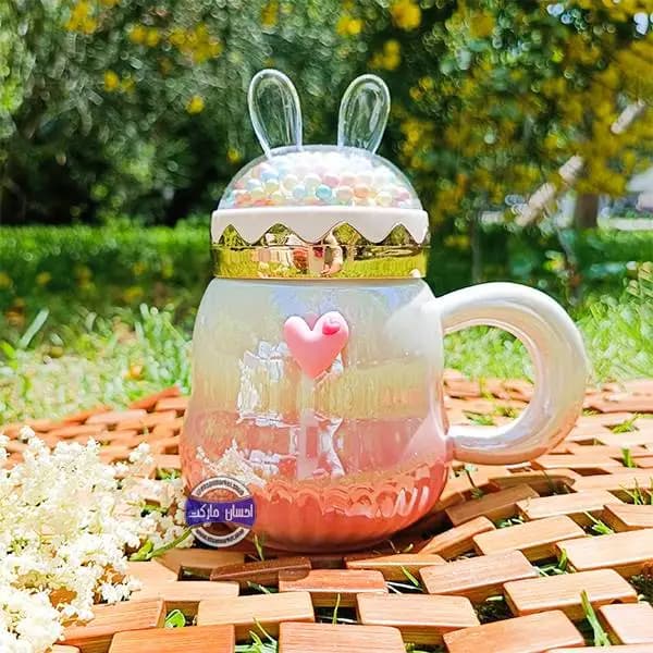 ماگ درب برفی