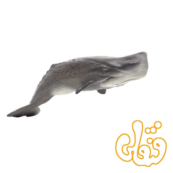 نهنگ Sperm Whale 387210