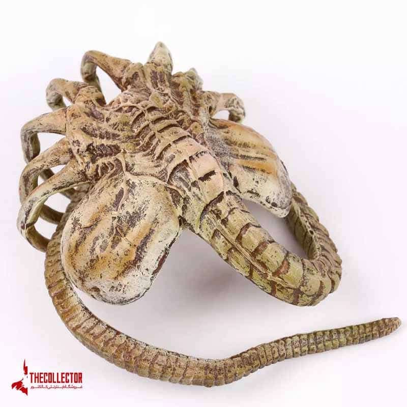 فیگور ایلین فیس هاگر | Alien Facehugger | از فیلم بیگانه — تصویر ۲