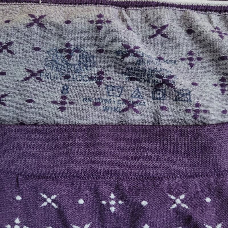شورت زنانه فروت آو د لوم مدل t-67843 — تصویر ۲