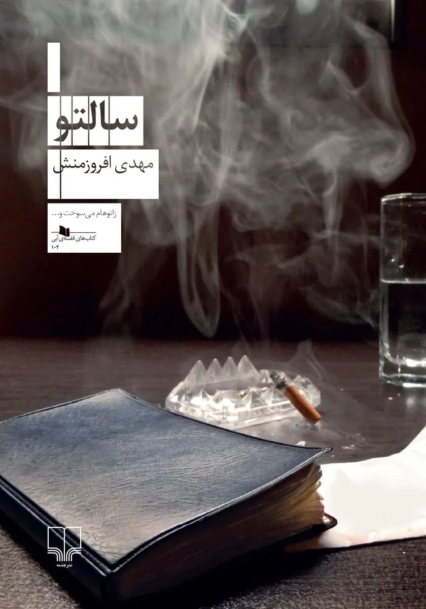 دانلود کتاب سالتو اثر مهدی افروز منش — تصویر ۲