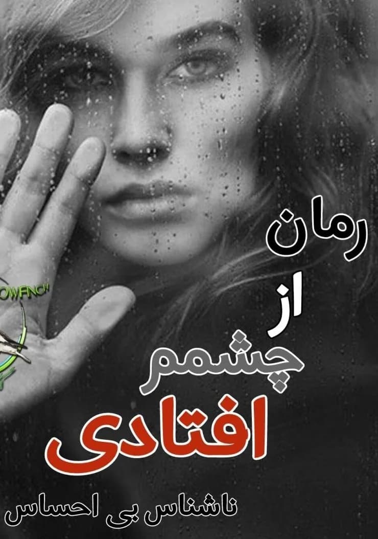 دانلود رمان از چشمم افتادی(فرار) به همراه وانشات اثر ناشناس بی احساس — تصویر ۲