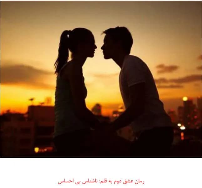 دانلود رمان عشق دوم اثر ناشناس بی احساس — تصویر ۲