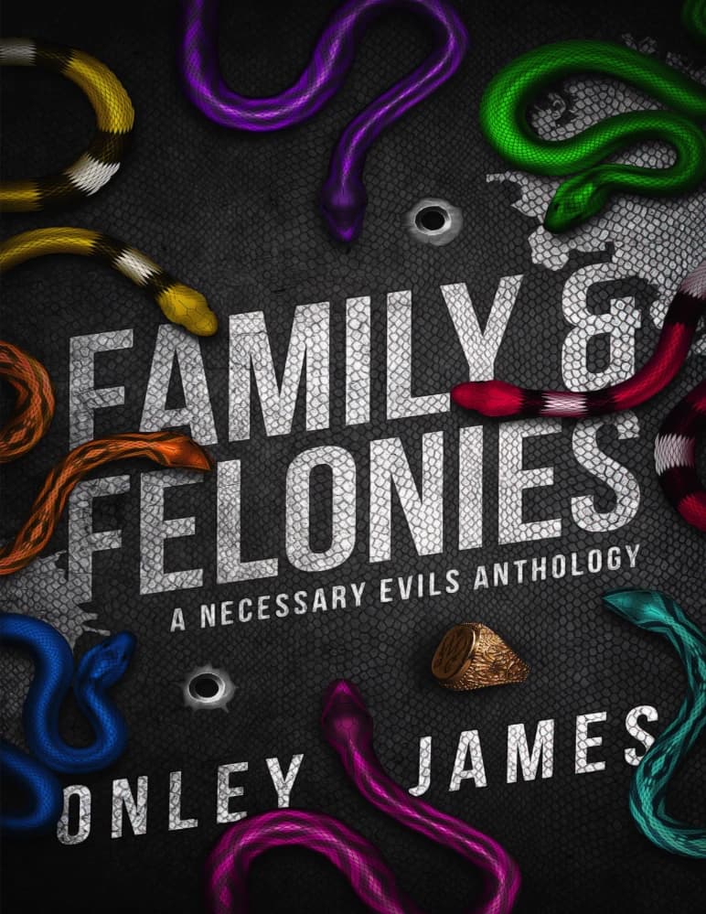 کتاب Family Felonies (جنایت‌های خانوادگی) نسخه انگلیسی PDF | آنلی جیمز