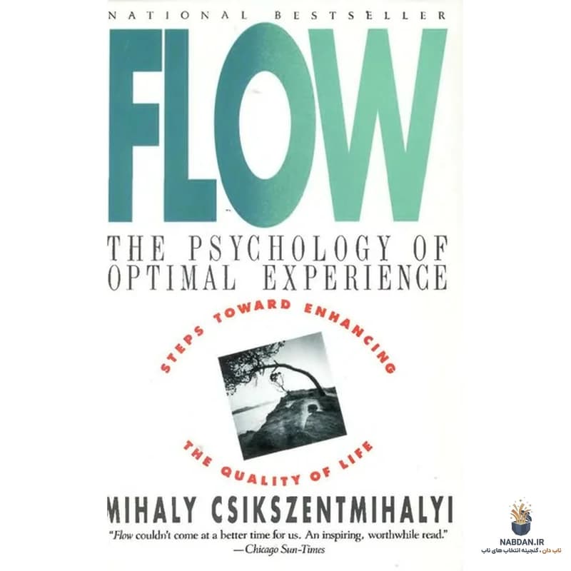 کتاب Flow (غرقگی) نسخه انگلیسی PDF | میهای چیکسنت‌میهایی