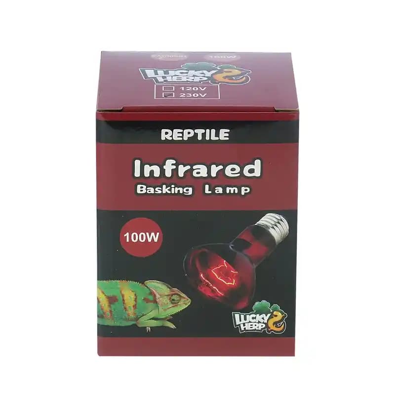 لامپ مادون قرمز 100 وات لاکی هرپ مدل INFRARED-220V-100W-E27 — تصویر ۶