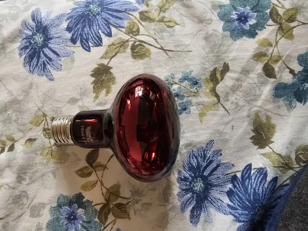 لامپ مادون قرمز 100 وات لاکی هرپ مدل INFRARED-220V-100W-E27 — تصویر ۵