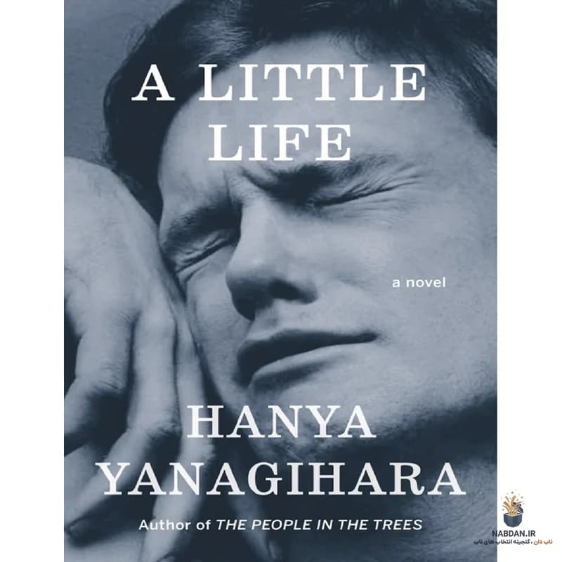 کتاب A Little Life (زندگی کوچک) نسخه انگلیسی PDF | هانیا یاناگیهارا — تصویر ۳