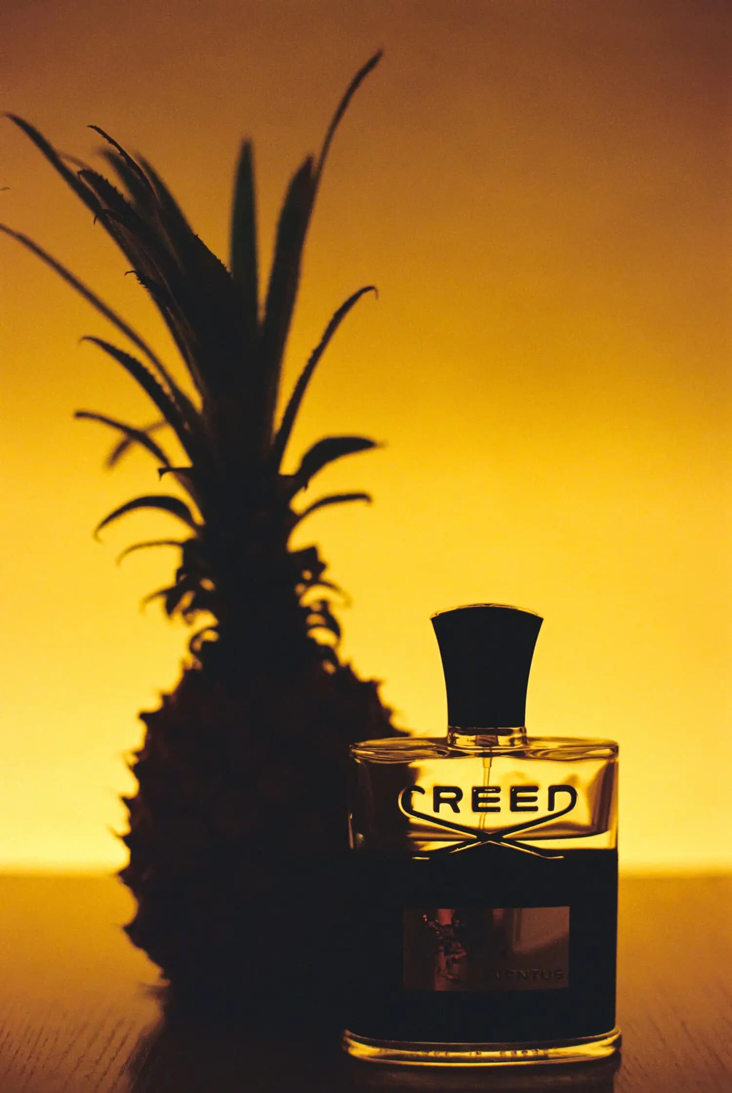 عطر ادکلن کرید اونتوس مردانه اصل | Creed Aventus — تصویر ۱۰