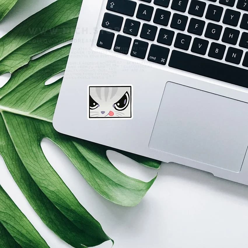استیکر cat eye — تصویر ۲