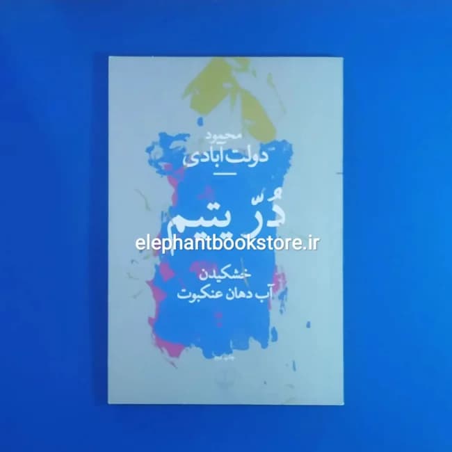 کتاب در یتیم: خشکیدن آب دهان عنکبوت اثر محمود دولت آبادی