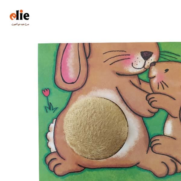 کتاب سوتی هاپ هاپو سری سوت میزنیم میخونیم — تصویر ۲