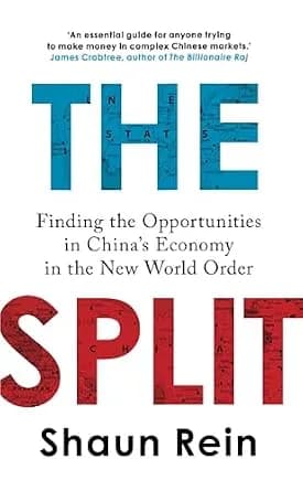 و دانلود نسخه کامل کتاب زبان اصلی The Split: Finding the Opportunities in China’s Economy in the New World Order PDF | دانلود کتاب خارجی