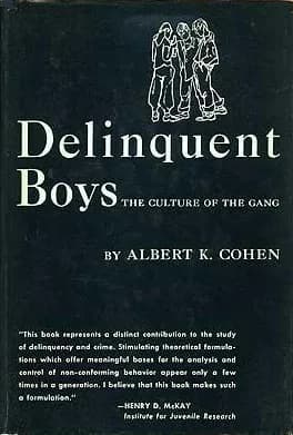 و دانلود نسخه کامل کتاب انگلیسی Delinquent Boys: The Culture of the Gang | کتاب خارجی