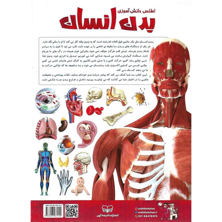 اطلس دانش آموزی بدن انسان — تصویر ۲