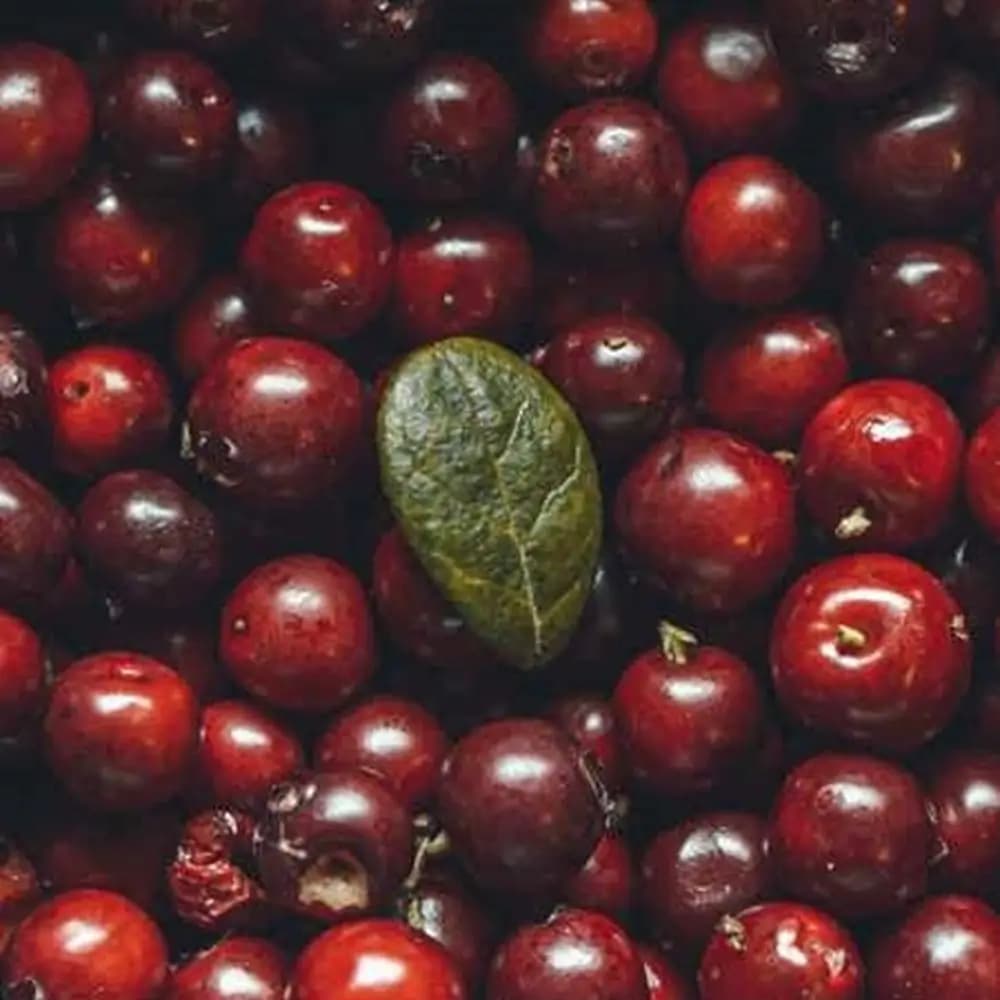 سیروپ کرنبری TEISSEIRE — تصویر ۲
