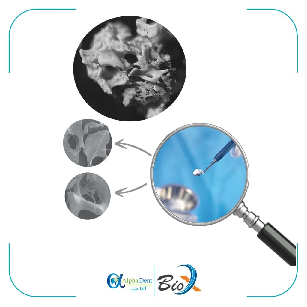 پودر استخوان بایوایکس BioX — تصویر ۲