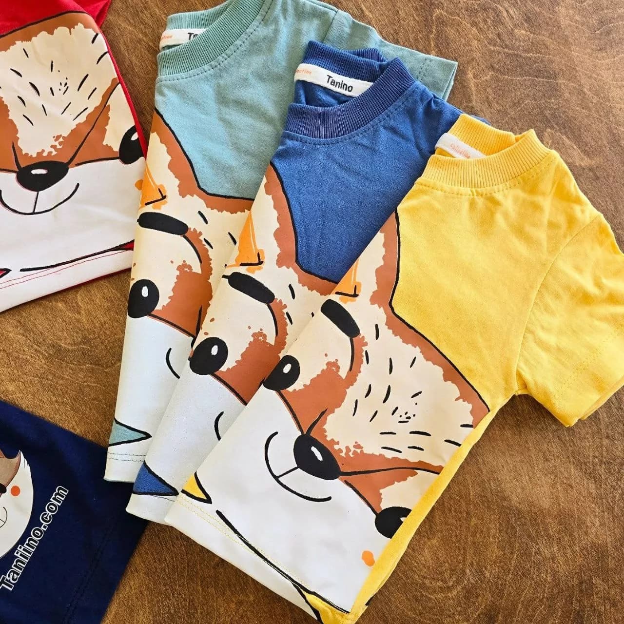 تیشرت شلوارک روباه Fox سایز ۳۵ تا ۴۵ کد ۴۹۹۳ — تصویر ۲