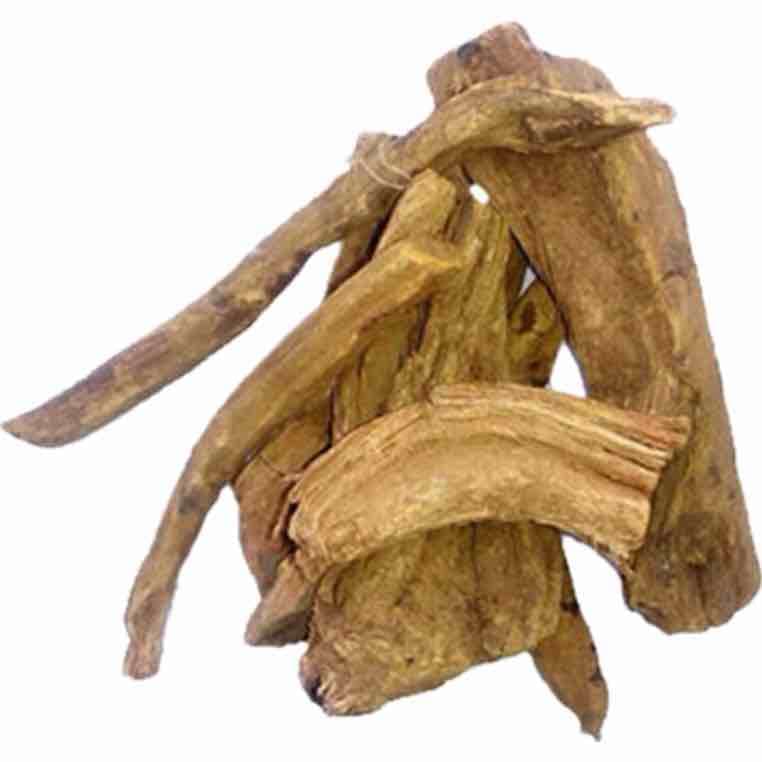 گیاه دارویی ریوند چینی ۱۰۰ گرمی