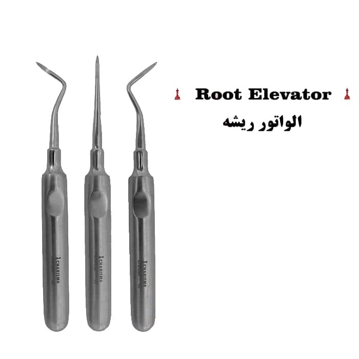 الواتور ریشه برند کاریزما ( مستقیم , چپ , راست )