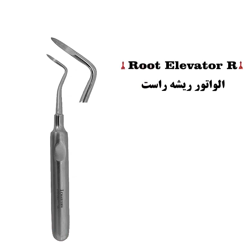الواتور ریشه برند کاریزما ( مستقیم , چپ , راست ) — تصویر ۳