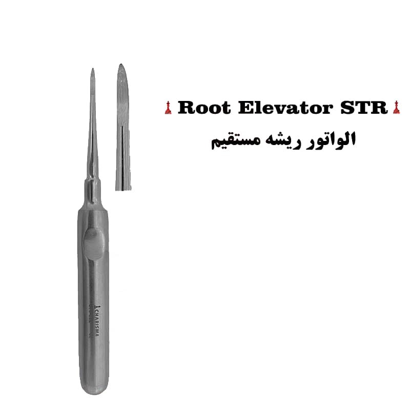 الواتور ریشه برند کاریزما ( مستقیم , چپ , راست ) — تصویر ۲