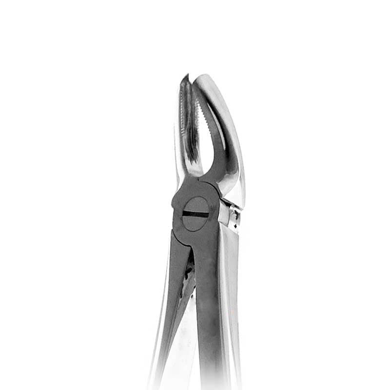 فورسپس مولر بالا چپ و راست برند Dental Devices — تصویر ۳