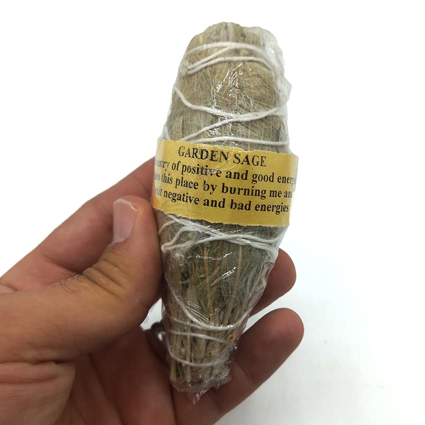 اسماج مریم گلی garden sage — تصویر ۳