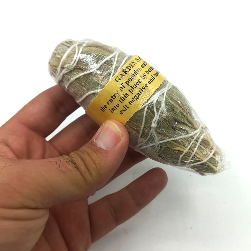اسماج مریم گلی garden sage — تصویر ۲