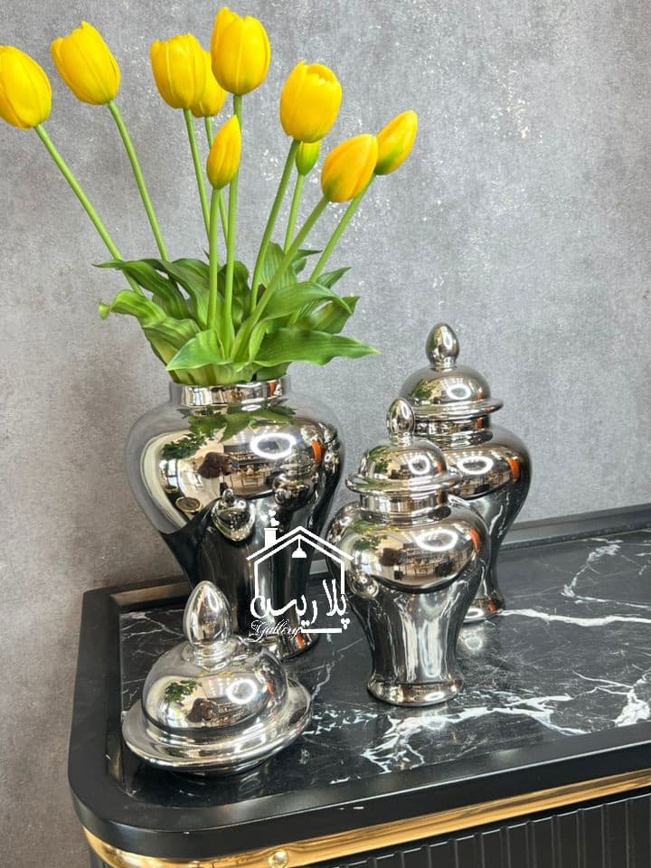 جینجرجار سرامیکی سیلور 18008_18009_18010