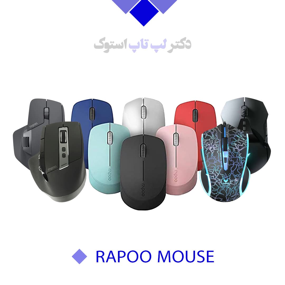 | Rapoo EV250 Wireless Mouse Vertical EV250 | | | | | | |