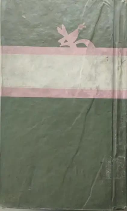 زندگی جنگ و دیگر هیچ | اوریانا فالاچی