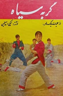کتاب گربه سیاه – نویسنده میکی اسپیلین