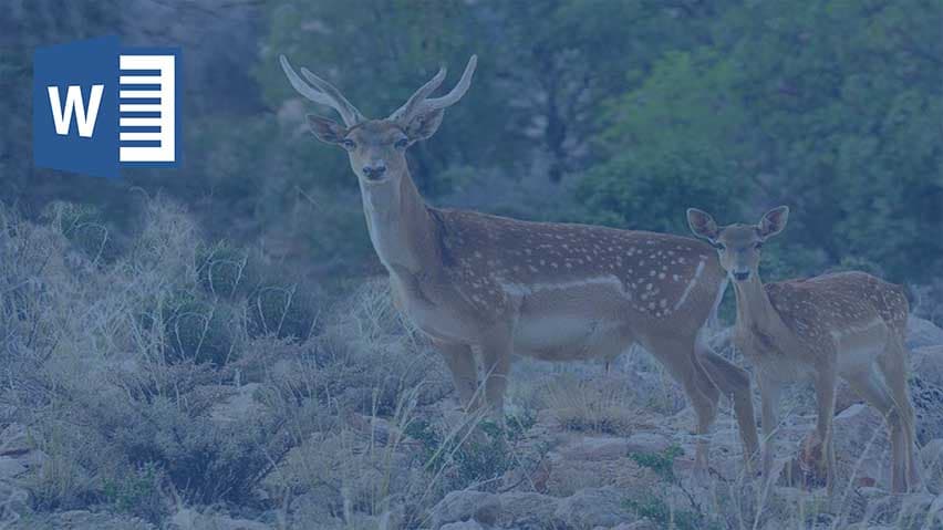 و دانلود تحقیق حیوانات بومی غرب کشور