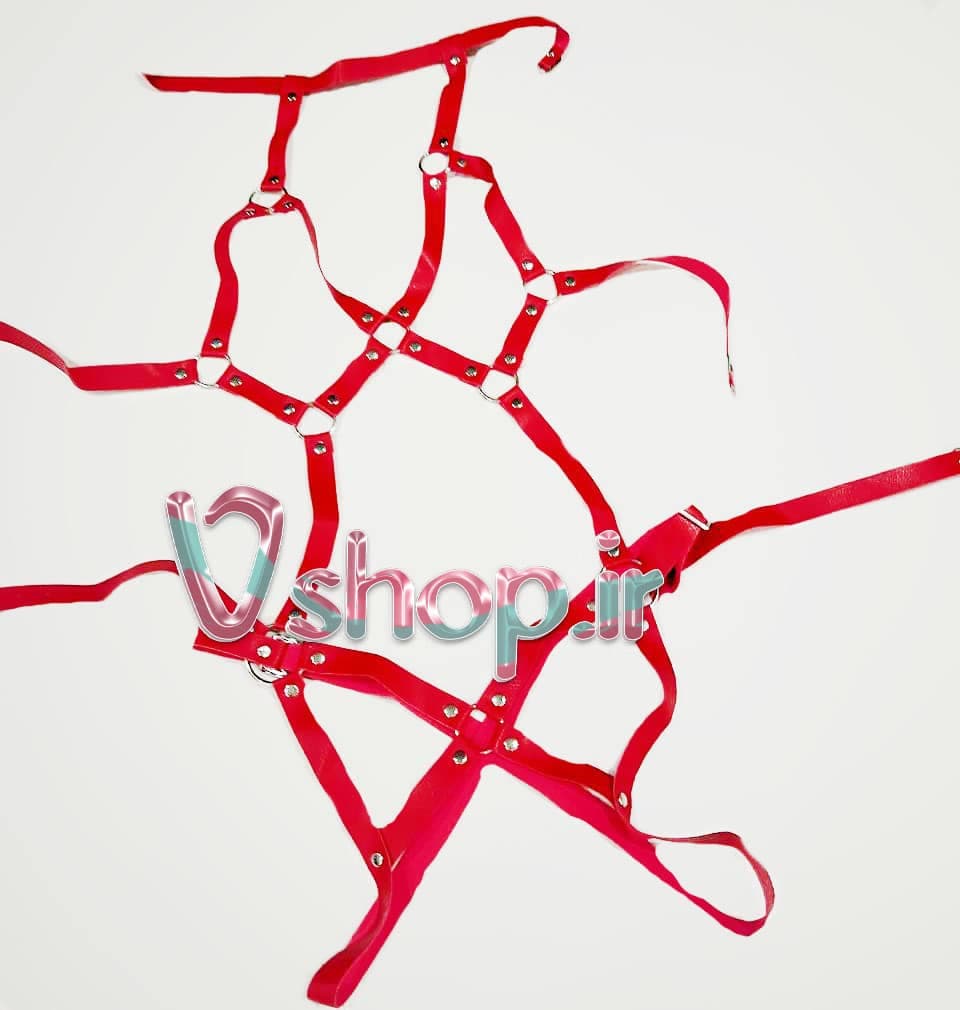 بادی هارنسی چرم — تصویر ۲