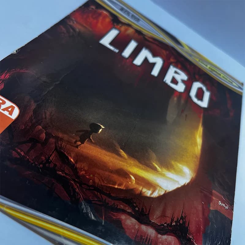بازی LIMBO مخصوص PC — تصویر ۲
