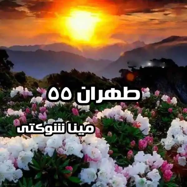 رمان طهران 55 اثر مینا شوکتی