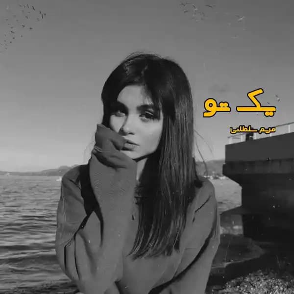 رمان یک تو اثر مریم سلطانی