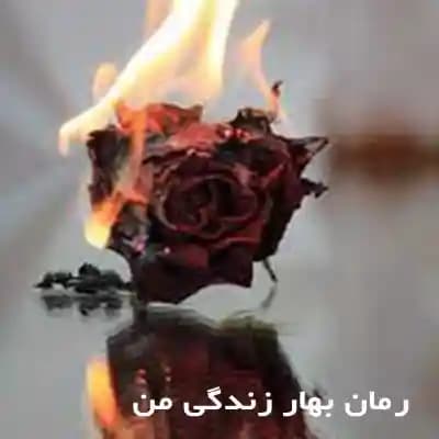 دانلود رمان بهار زندگی من اثر مهری هاشمی