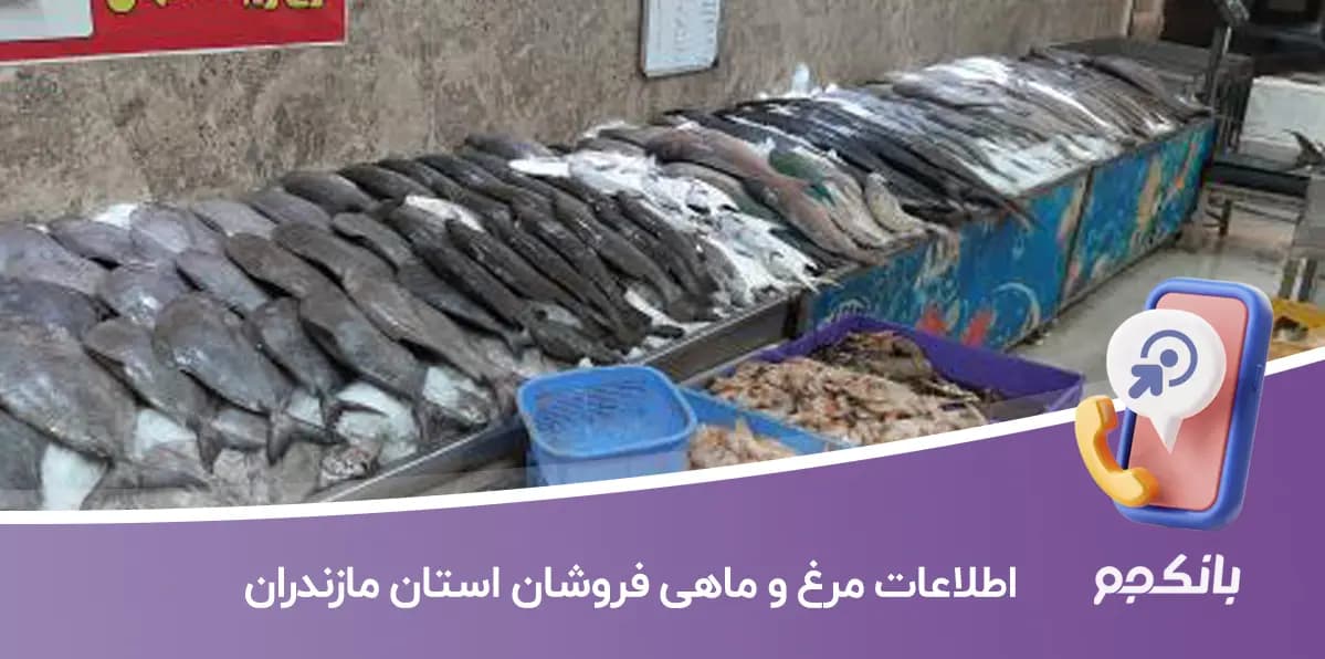 اطلاعات مرغ و ماهی فروشان استان مازندران