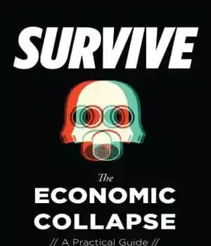 دانلود کتاب Survive the economic collapse: a practical guide – از فروپاشی اقتصادی جان سالم به در ببرید: راهنمای عملی