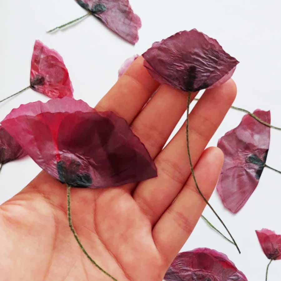 گل خشک شقایق قرمز بسته 5 عددی — تصویر ۴