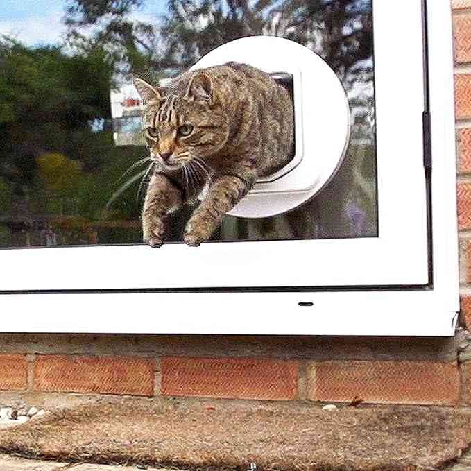 درب تردد سگ و گربه SureFlap Sure Petcare DualScan Microchip — تصویر ۵