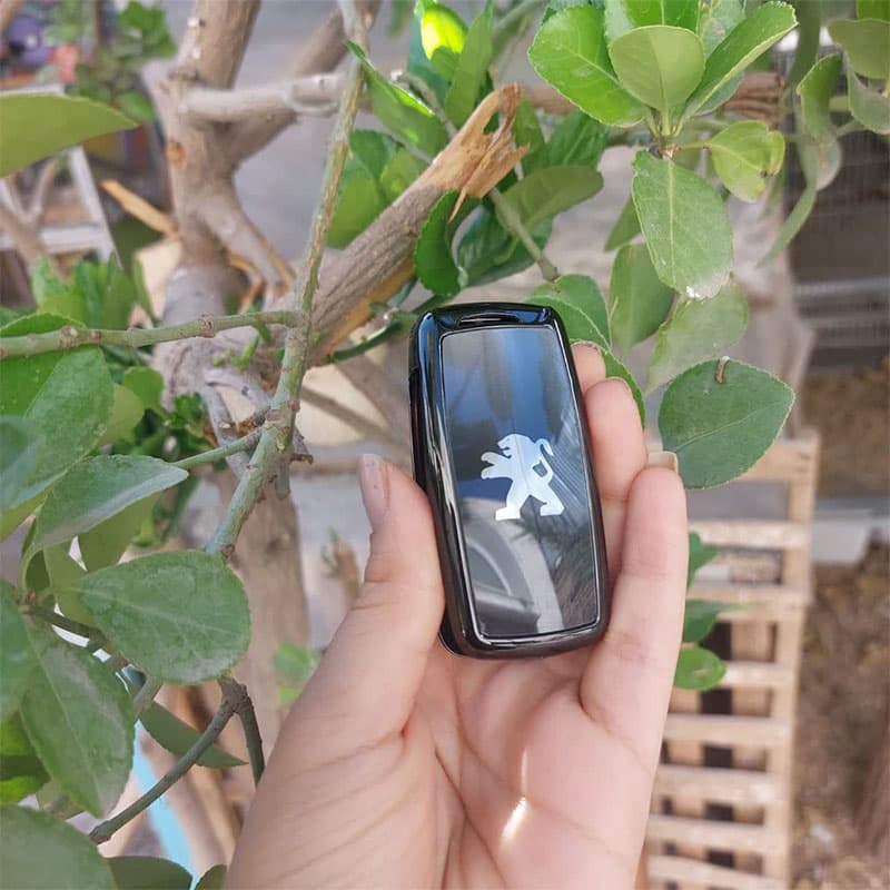 کاور ریموت لاکچری فلزی پژو پارس سه دکمه کد 1363 — تصویر ۴