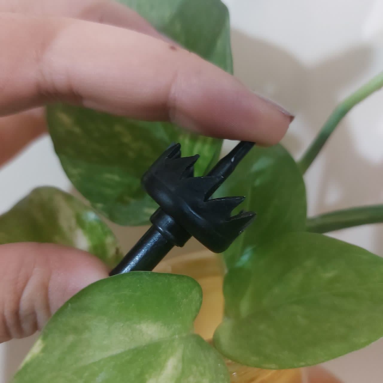 لوگو لایت (ولکام لایت) طرح بال فرشته مجموعه 2 عددی کد 1330 — تصویر ۵